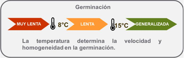 Germinación: la temperatura determina la velocidad y homogeneidad en la germinación.